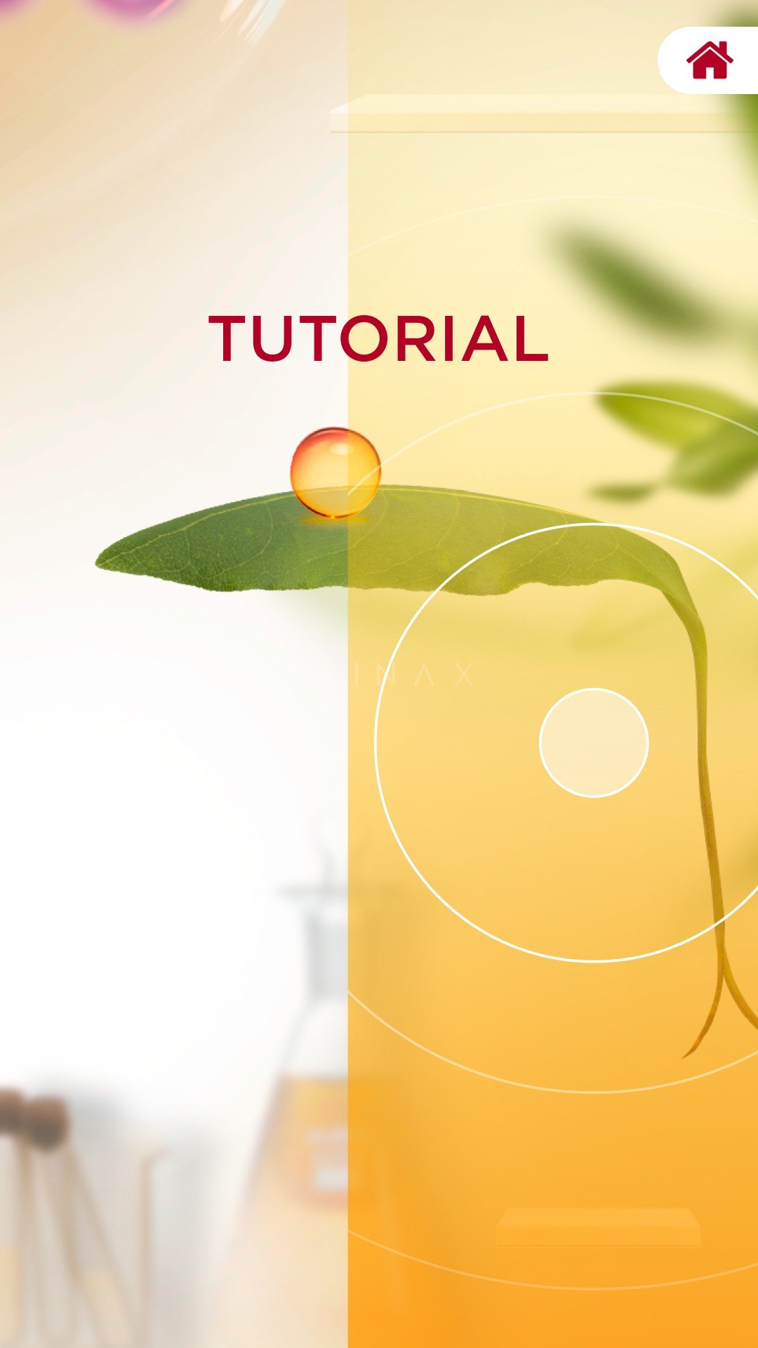 Tutorial 35